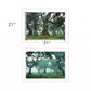 Set Of Two Enchanted Forest 1 White Framed Print Wall Art