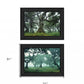 Set Of Two Enchanted Forest 2 Black Framed Print Wall Art