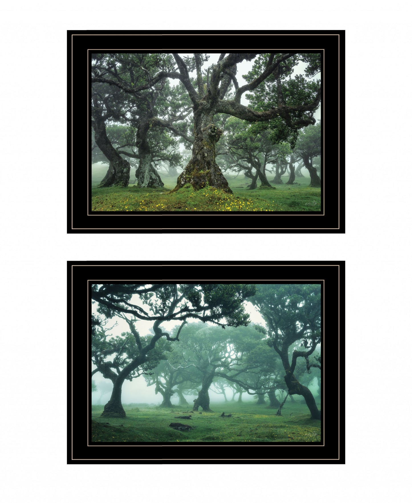 Set Of Two Enchanted Forest 2 Black Framed Print Wall Art