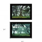 Set Of Two Enchanted Forest 2 Black Framed Print Wall Art