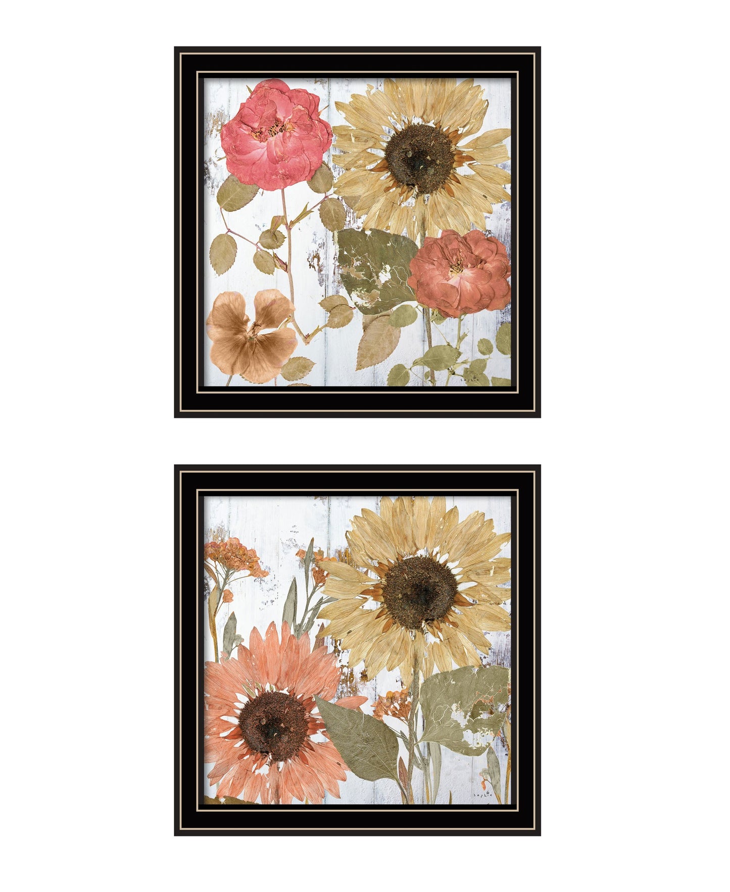 Set Of Two Earth To Petals 1 Black Framed Print Wall Art