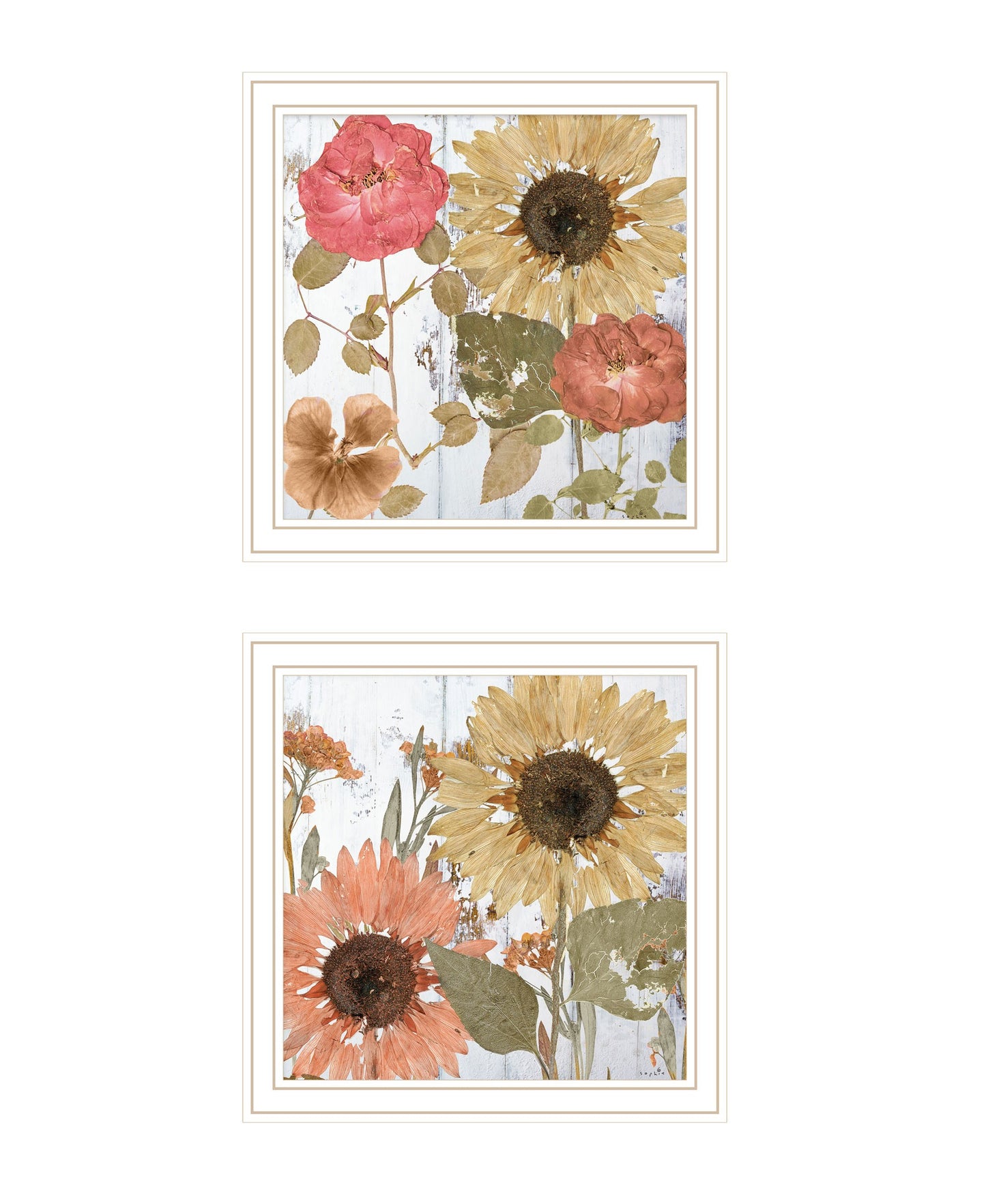 Set Of Two Earth To Petals 2 White Framed Print Wall Art