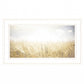 Fields Of Gold 1 White Framed Print Wall Art