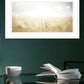 Fields Of Gold 1 White Framed Print Wall Art