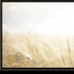 Fields of Gold 2 Black Framed Print Wall Art