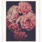 Dreamy Rose 1 White Framed Print Wall Art