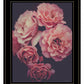 Dreamy Rose 2 Black Framed Print Wall Art