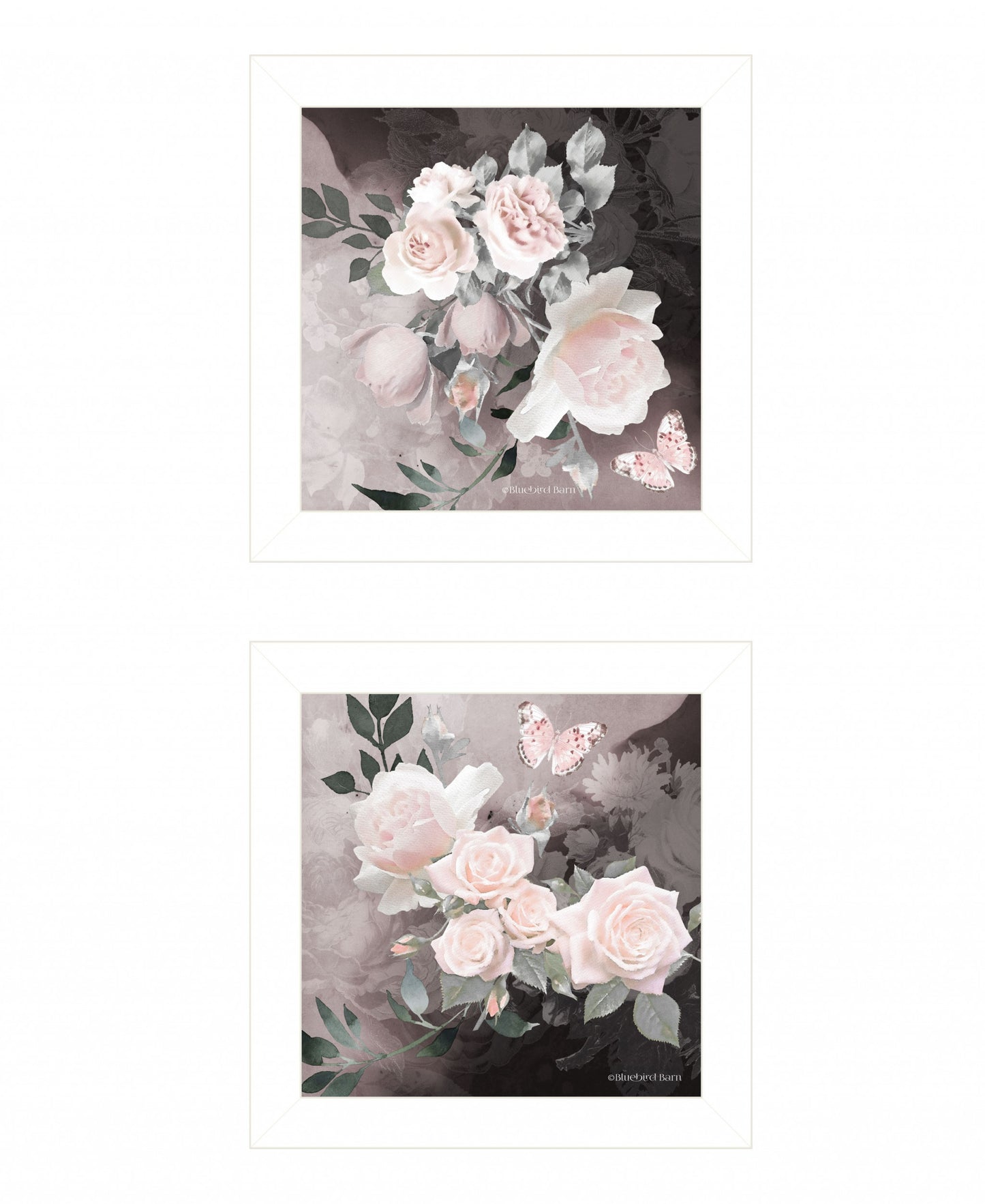 Set Of Two Noir Roses 5 White Framed Print Wall Art