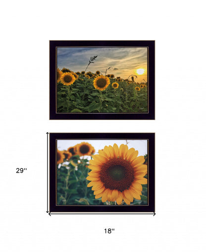 Set Of Two Midwest Living 4 Black Framed Print Wall Art