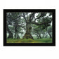 Enchanted Forest I 1 Black Framed Print Wall Art