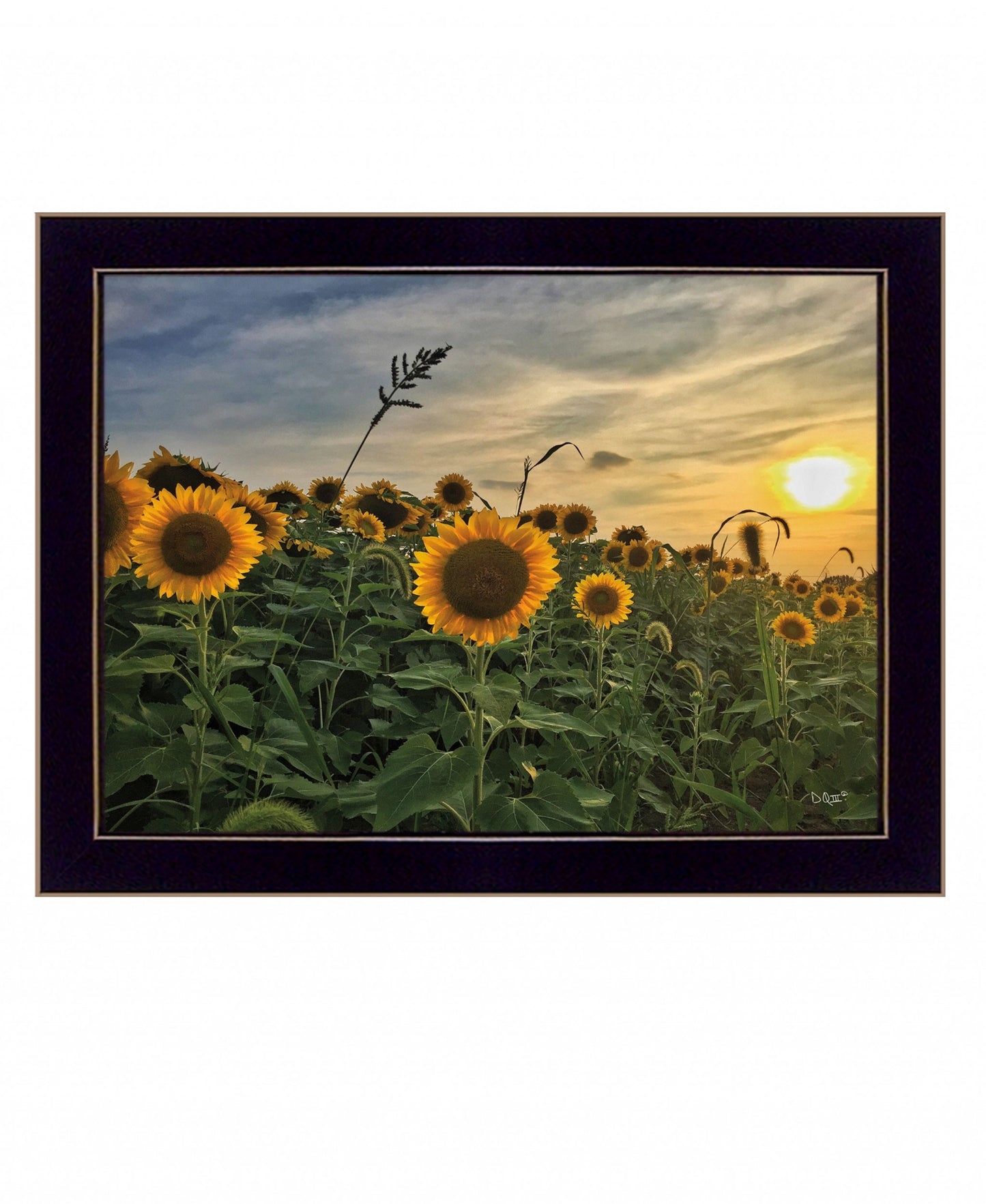 Midwest Living I Black Framed Print Wall Art