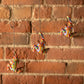 Set of Three 6" Rainbow Multi Unique Climbing Men With Rope Wall Art