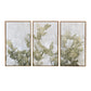 Set of Three Botanical Gold Floater Frame Painting Wall Art