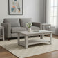Set Of Three 42" Gray Rectangular Coffee Table With Three Shelves